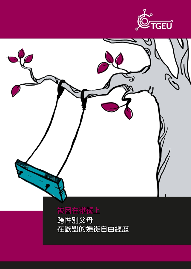 圖片1：被困在鞦韆上跨性別父母在歐盟的遷徙自由經歷